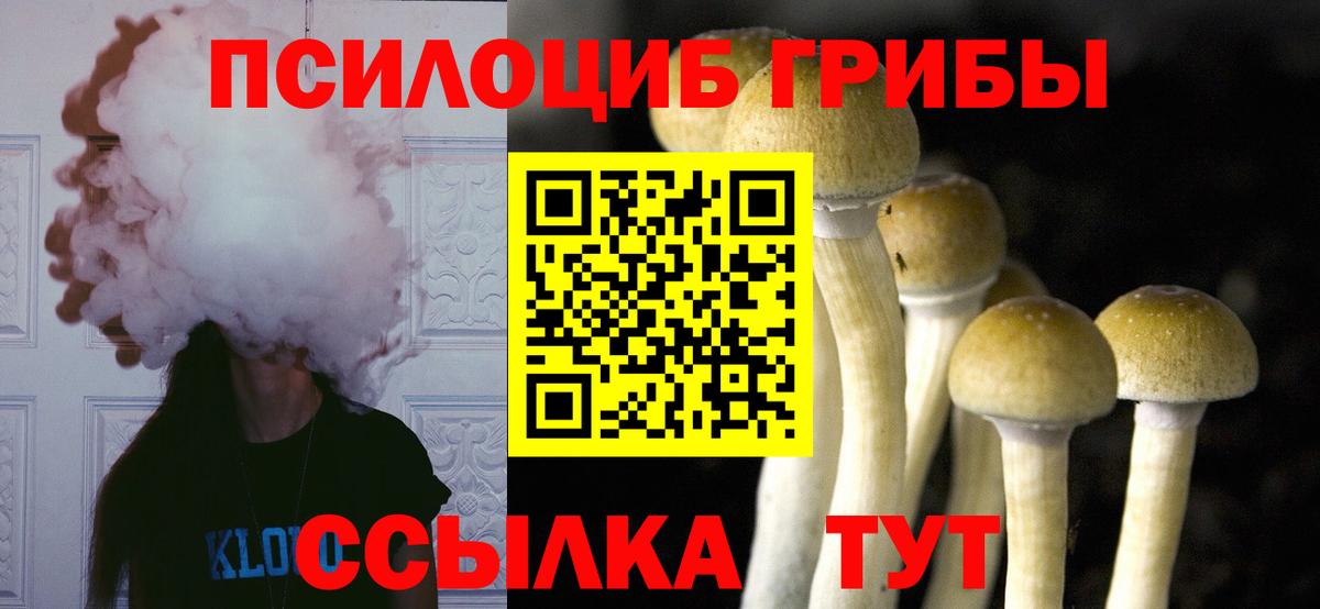 Галлюциногенные грибы мицелий  закладки  Гурьевск  Вход с VPN 